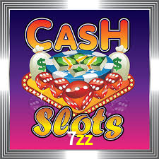 7zz bet